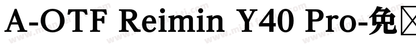 A-OTF Reimin Y40 Pro字体转换
